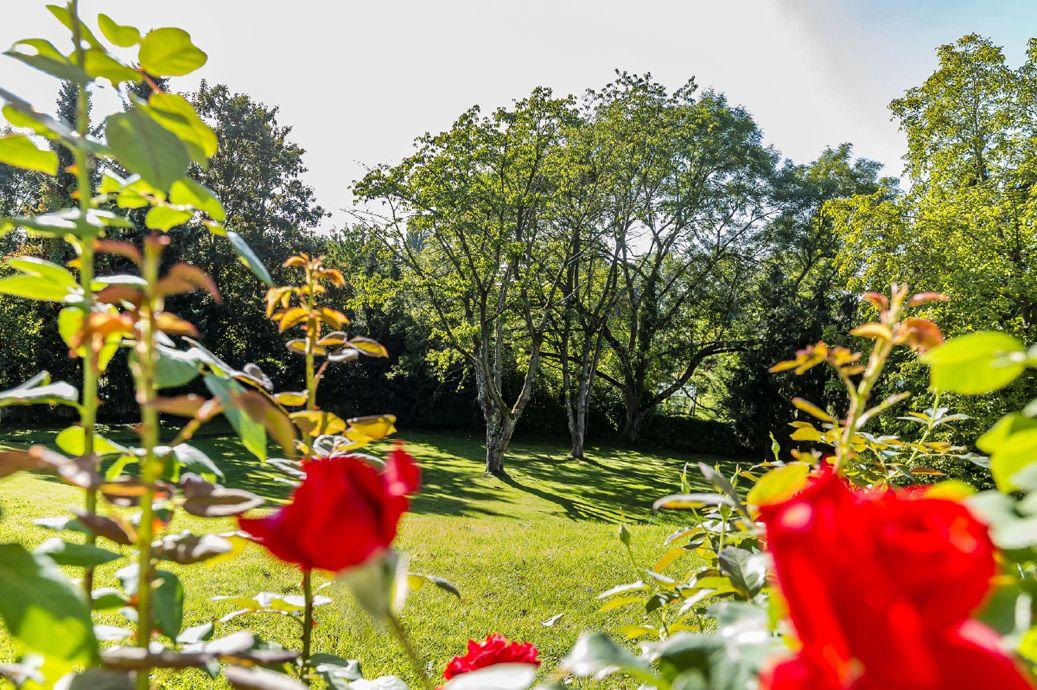 Falkenberg Düsseldorf