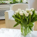 Falkenberg 3* Dusseldorf