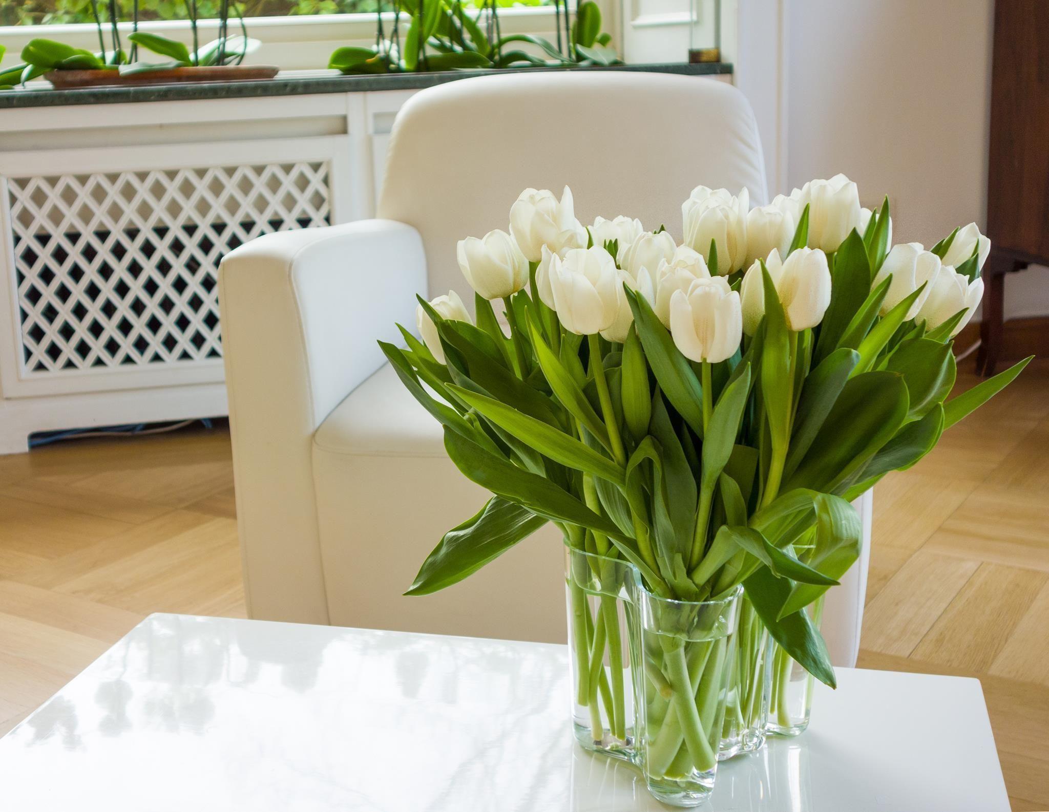 Falkenberg 3* Dusseldorf