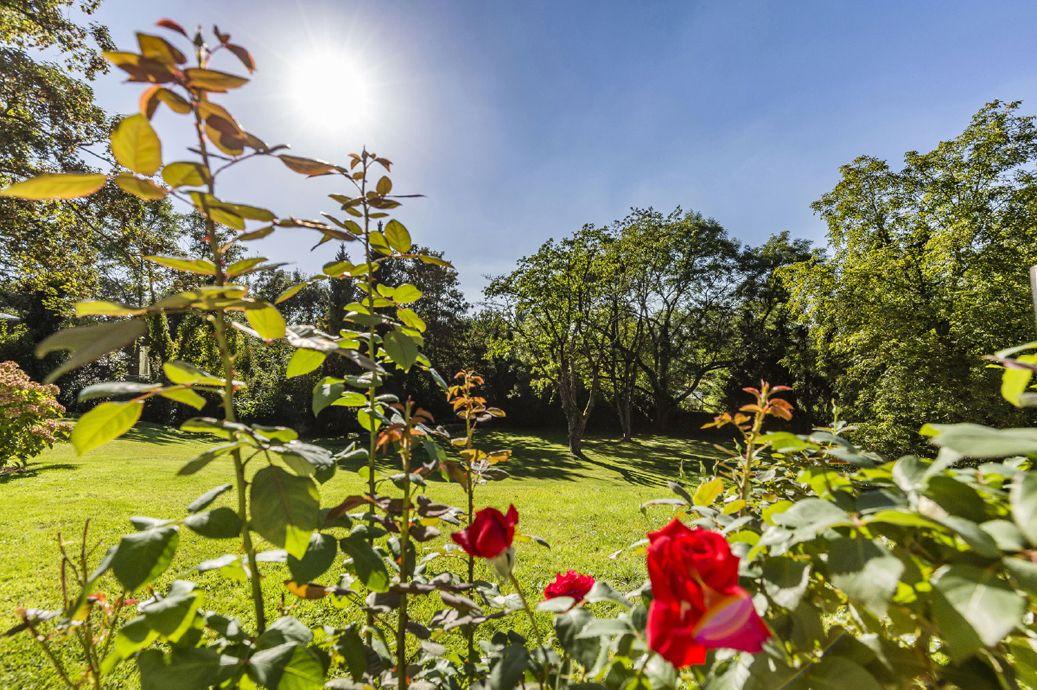 Falkenberg Düsseldorf